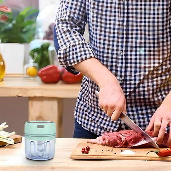 mini-hachoir-demo-viande